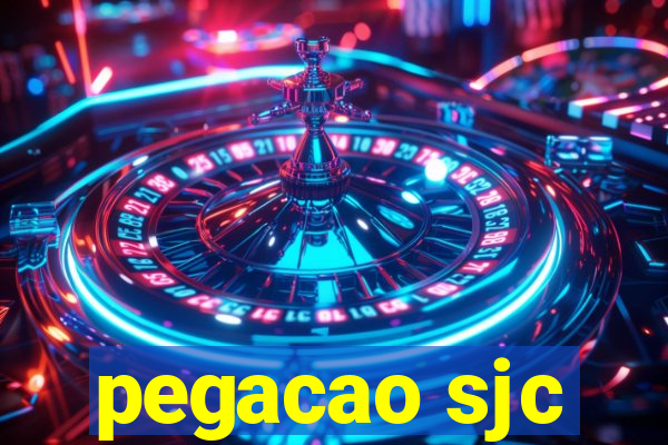pegacao sjc